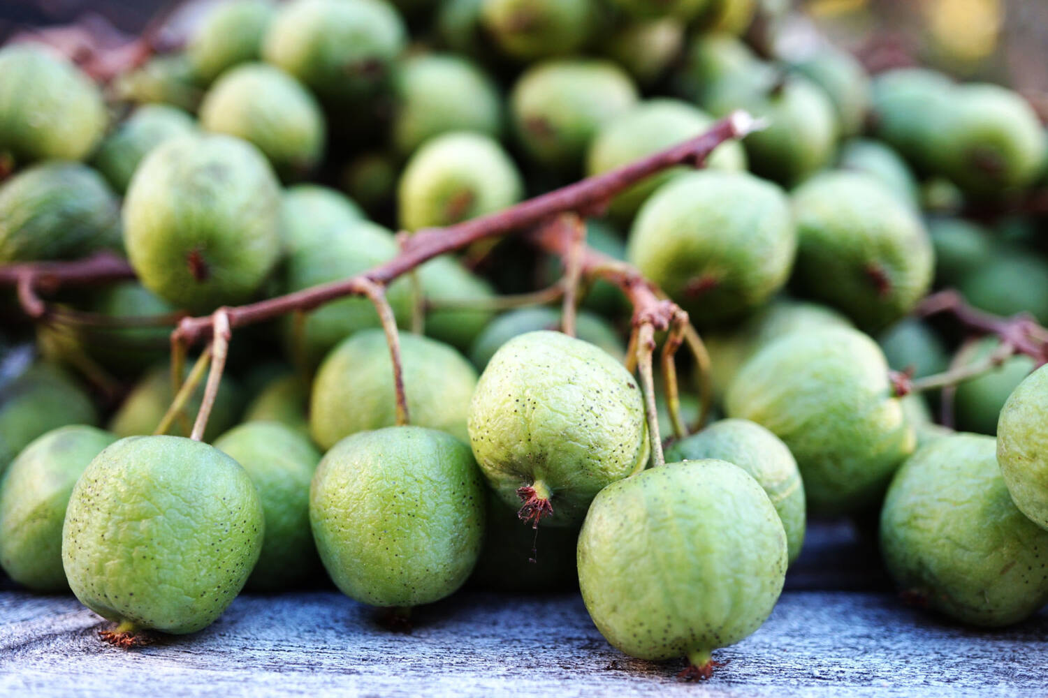 Kiwiberries 125g taille 12 pièce